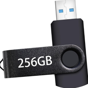 Clé USB 256 Go, Clé USB portable : Clé USB 256 Go, Clé USB à grande capacité avec porte-clés, Clé USB haute vitesse 2.0 pour stockage de données 256 Go pour PC/ordinateur portable