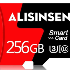 carte memoire 256 giga