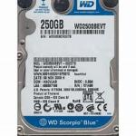 DISQUE DUR 250 GB SATA HDD